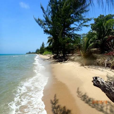 Beach front off grid living (1/10)