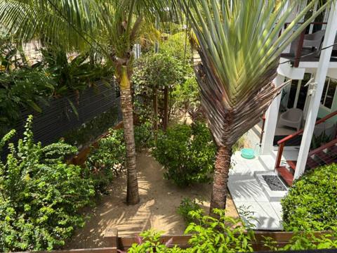 One Block From Prime Placencia Beach (1/10)