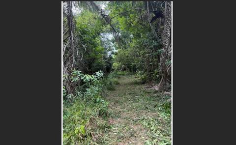 Off-Grid Creekside Jungle Lot 2 – 2.70 Acres on Indian Creek (2/11)